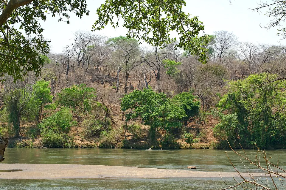 River and woodland — Southern Region, Malawi