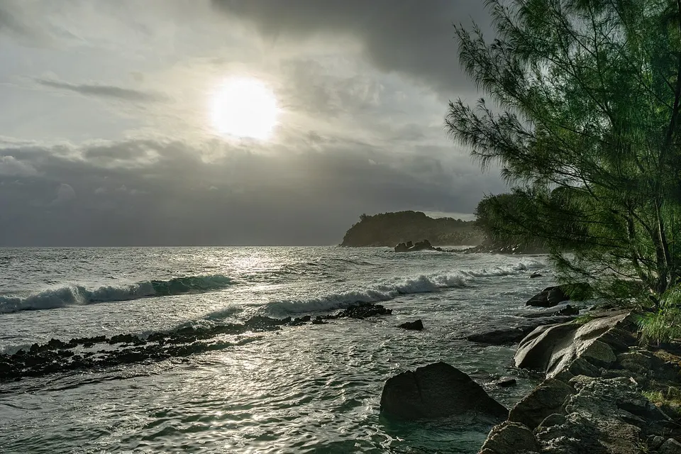 Seychelles - 53068579880 — Grand'Anse, Seychelles