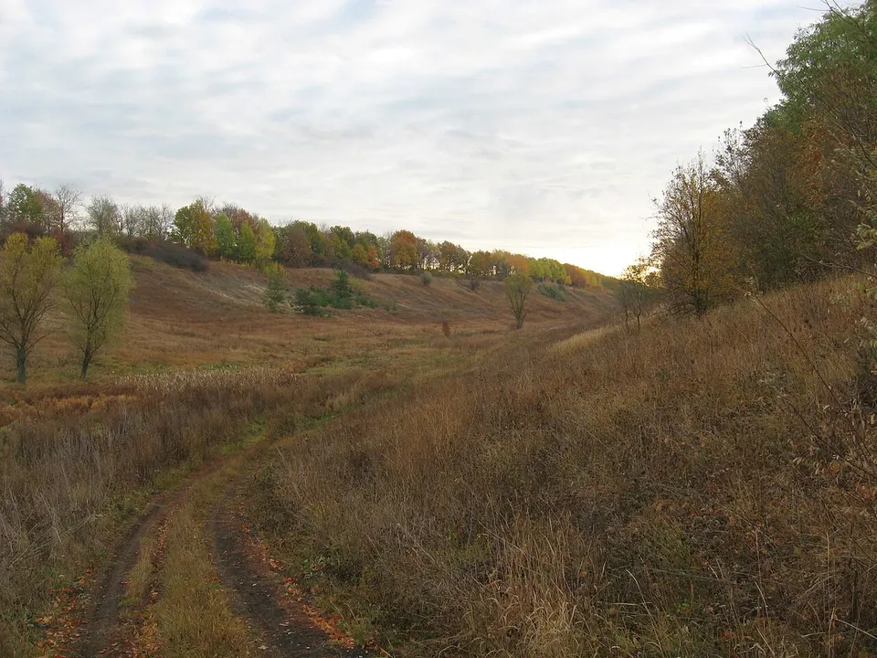 Раннее утро в балке, Устинка, Белгородская область, Россия (Early morning in ravine, Ustinka, Belgorodskaya oblast, Russia) - panoramio — Belgorod Oblast, Russia