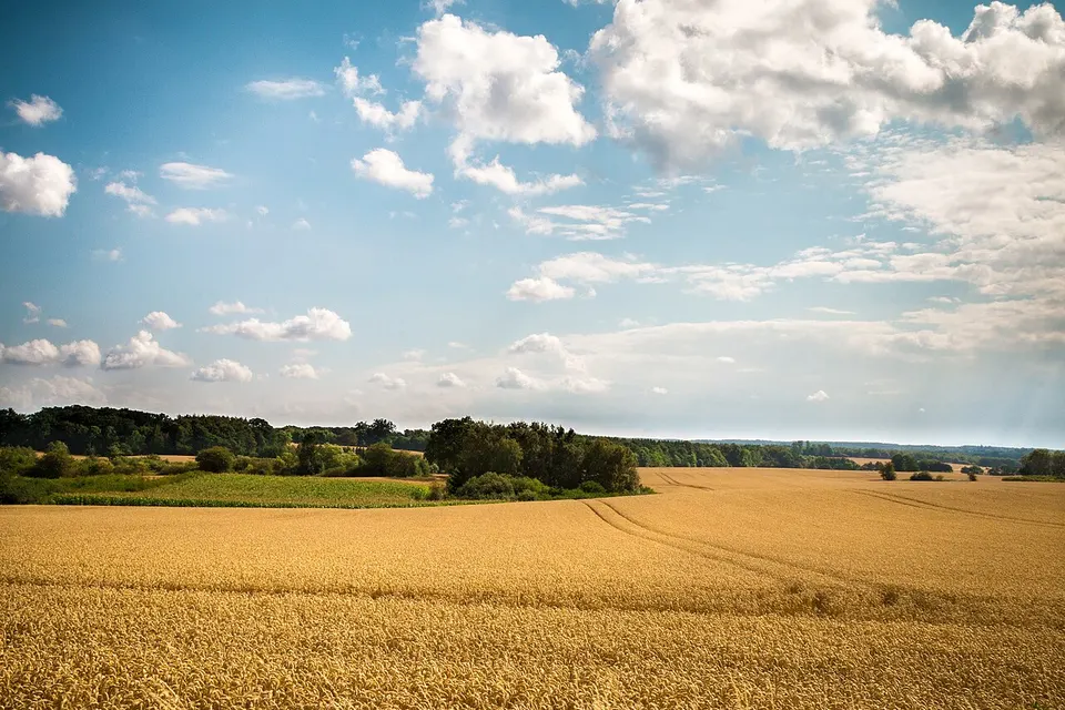 Høst — Sjælland, Denmark