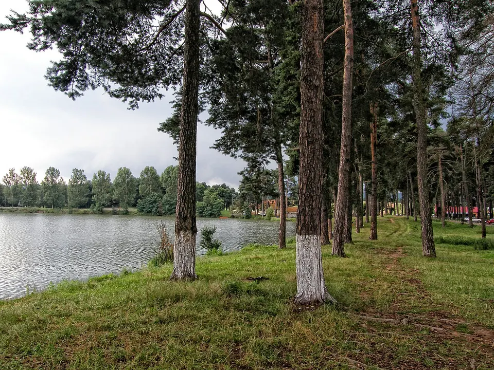 Lake and wooded shoreline — COVASNA, Romania