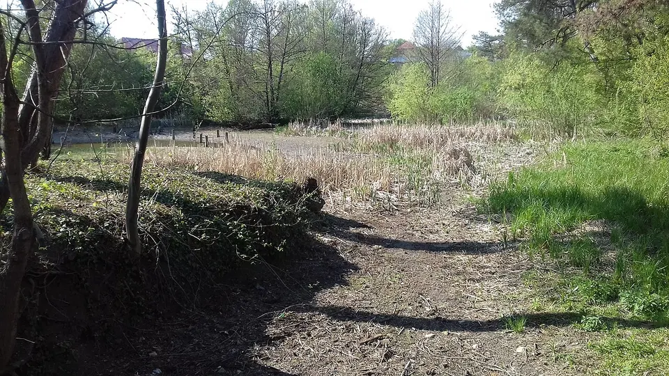 Püspökfürdő 001 — BIHOR, Romania
