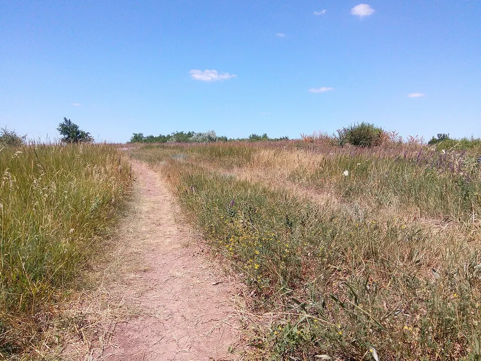 Цілинна ділянка вздовж балки 02 — Zaporizhia Oblast, Ukraine