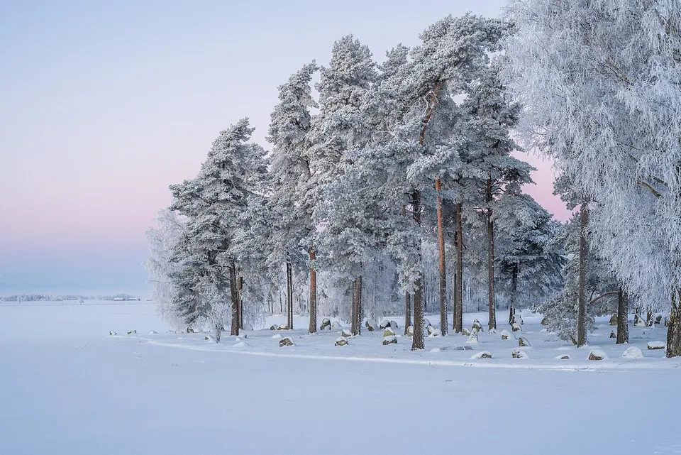 Brakelund Burial Ground 1 — Västra Götalands län, Sweden