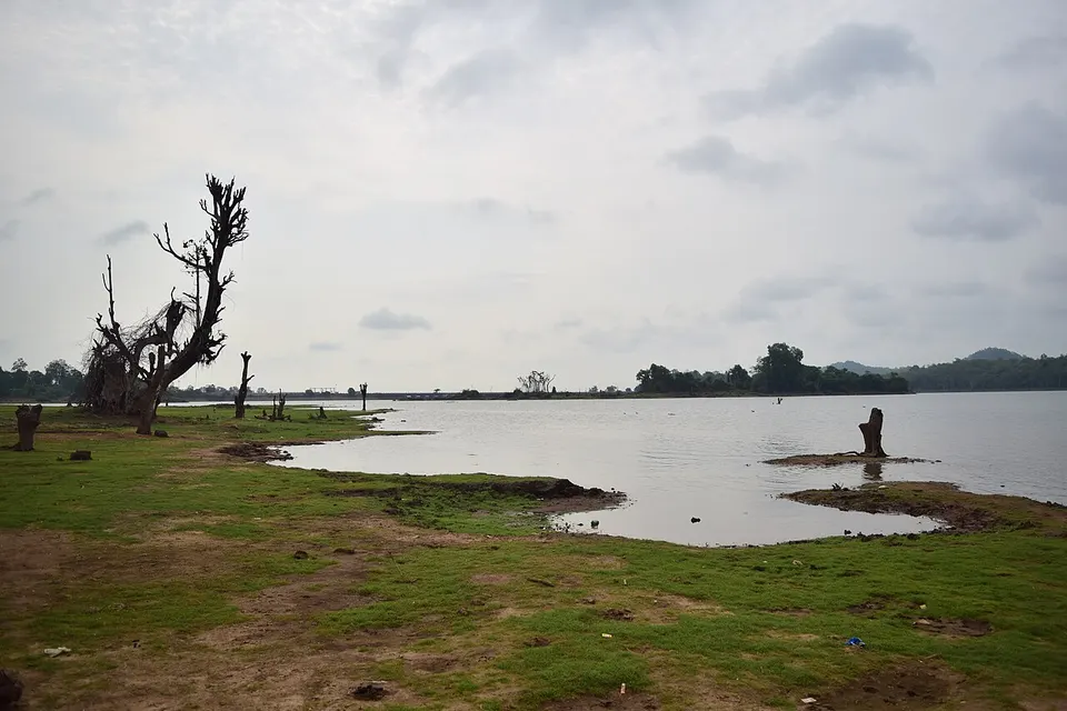 Lakeshore and grassland — Karnātaka, India