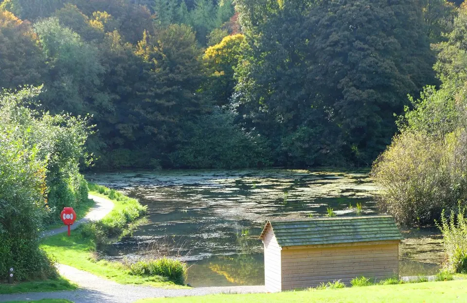 Lake at Drum Manor Forest Park, near Castletown, Co. Tyrone, N. Ireland - geograph.org.uk - 7929812 — Northern Ireland, United Kingdom