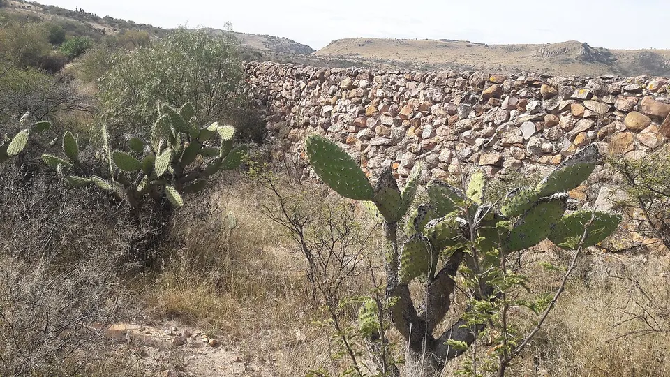 Vistas de una pequeña presa en Jesús María, Ags. 04 — Aguascalientes, Mexico