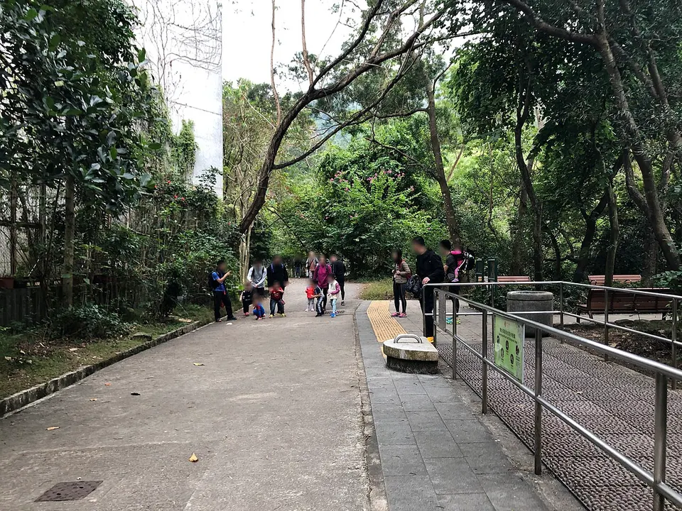 Woodland walking path — Eastern, Hong Kong