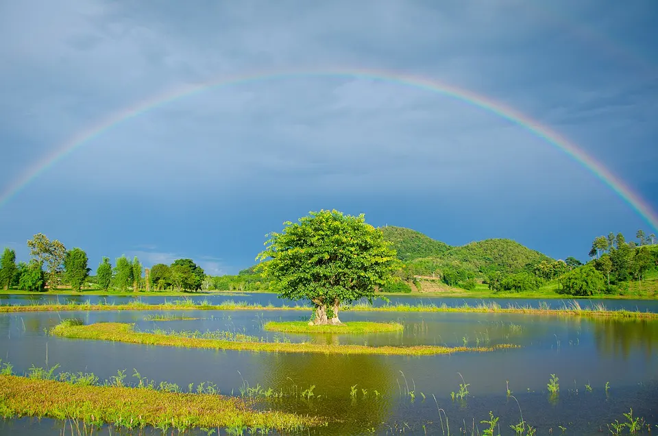 Huai Sak, Mueang Chiang Rai District, Chiang Rai, Thailand - panoramio — Chiang Rai Province, Thailand