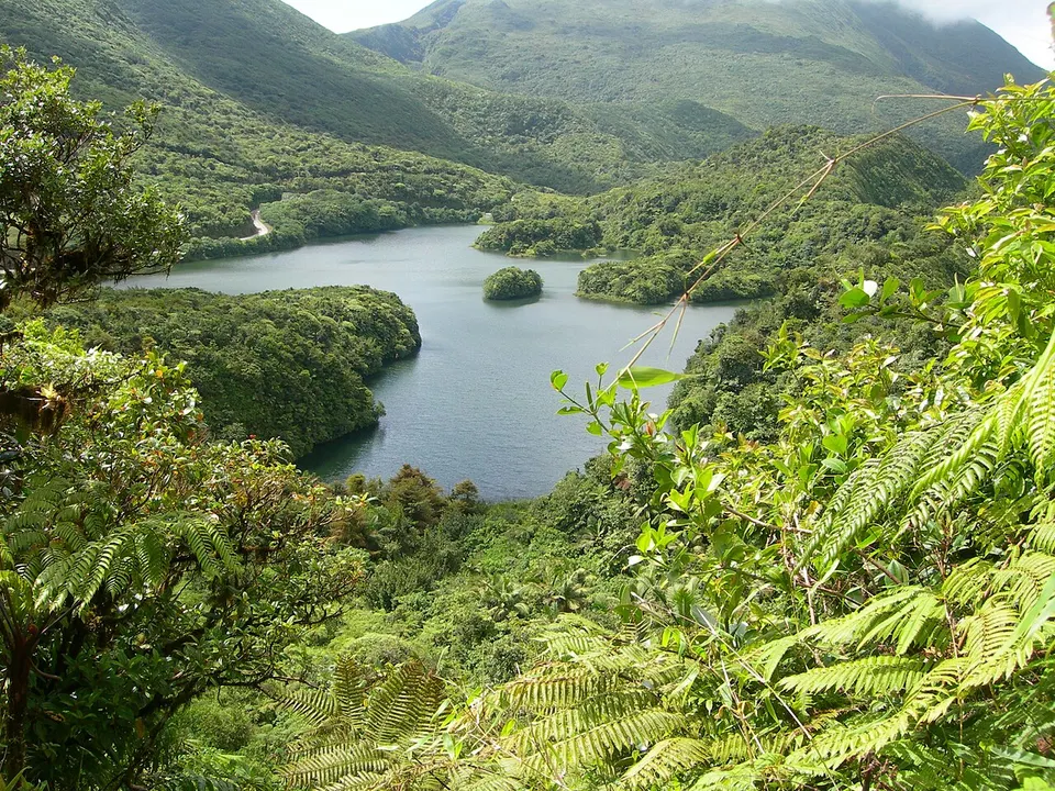 Boeri Lake — Saint David, Dominica