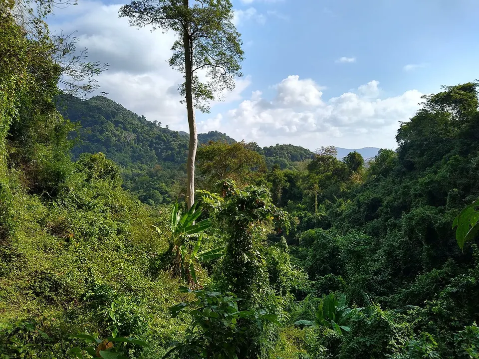 Kep National Park 6 — Kep, Cambodia