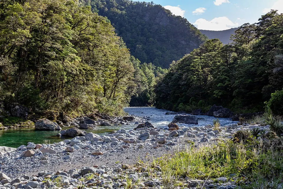 Wangapeka River, Kahurangi, New Zealand 25 — Tasman Region, New Zealand