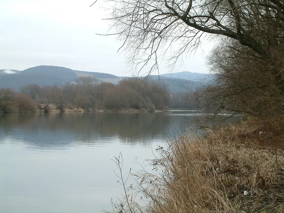 Ostrov, pohlad smerom na prudy - panoramio - Marián Hubinský — Region of Trenčín, Slovakia