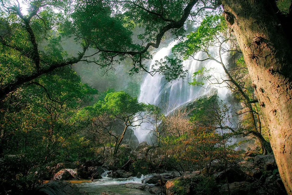 Waterfall surrounded by trees — Kamphaeng Phet Province, Thailand