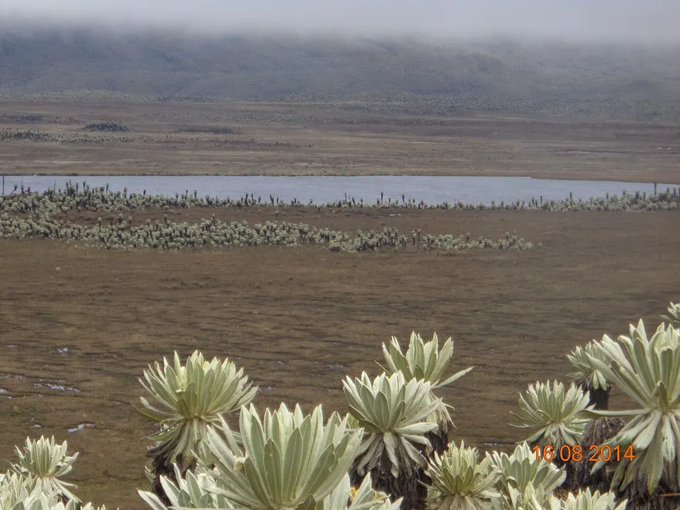 Laguna de El Voladero - panoramio — Carchi, Ecuador