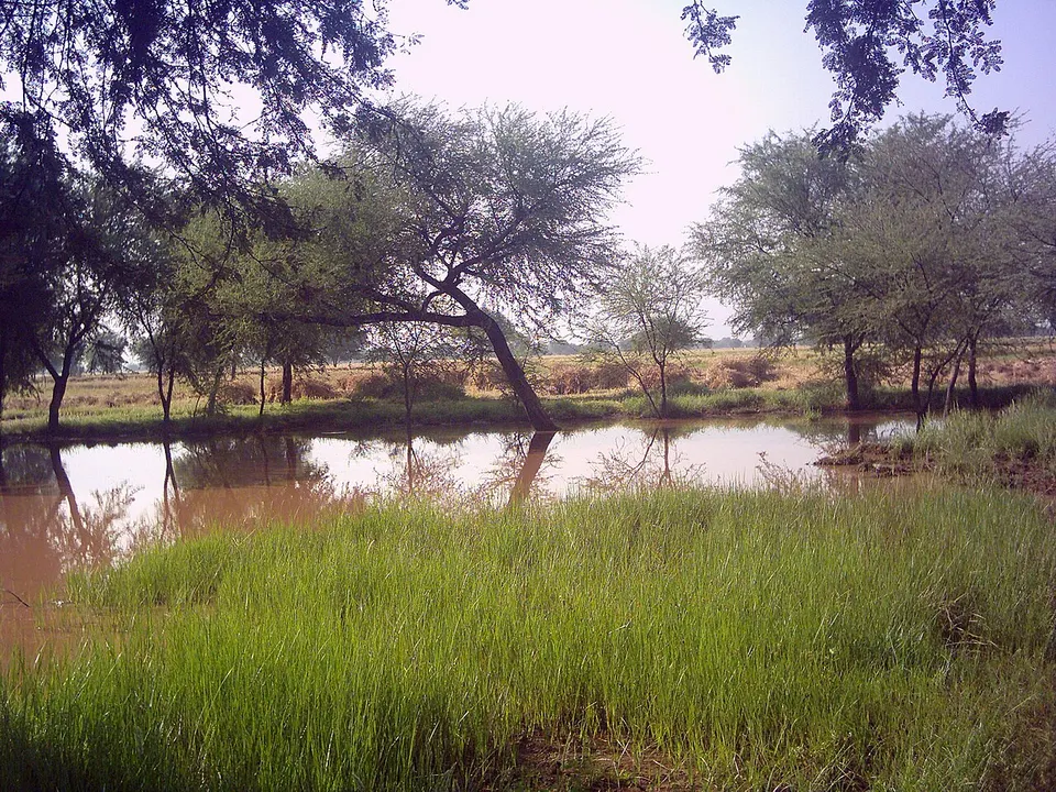 Pond - panoramio (18) — Tambacounda, Senegal