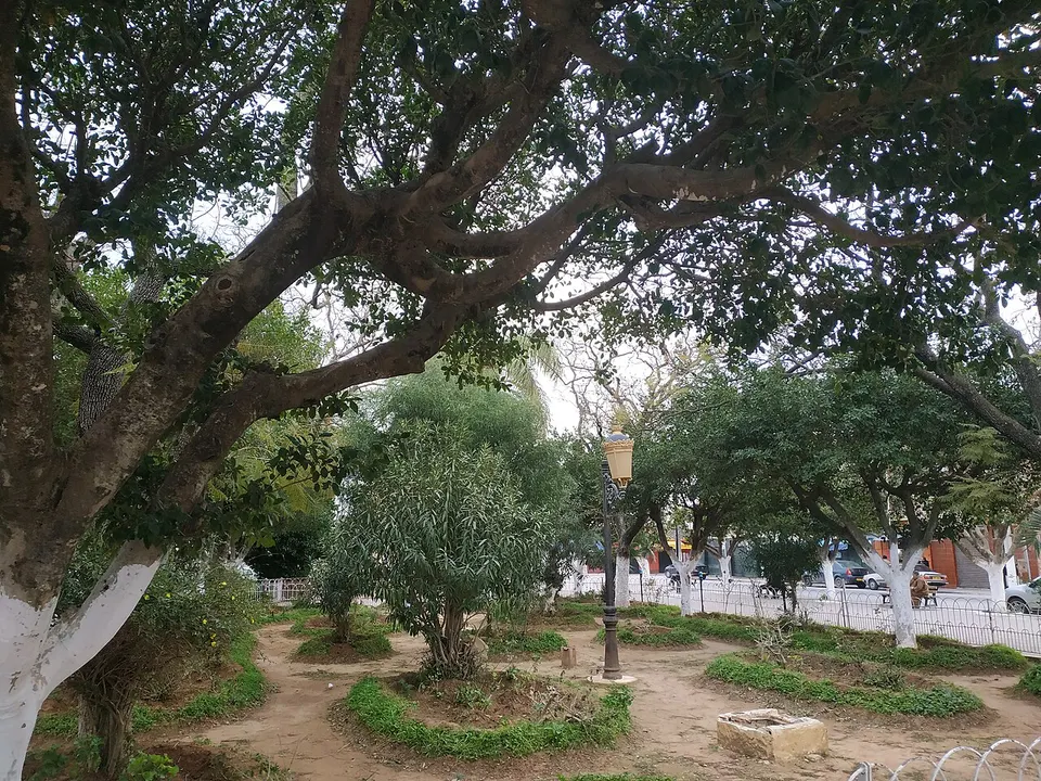 Tree-lined outdoor park — Mostaganem, Algeria