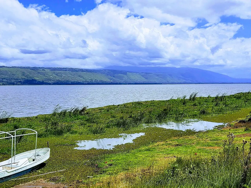 Lake Olbolosat — Nyandarua, Kenya