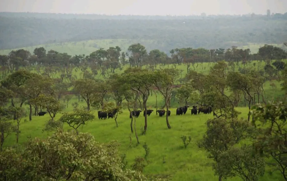 Paysages ruvubu — Cankuzo, Burundi