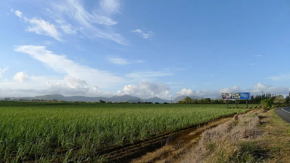 Mauritian mountains — Pamplemousses, Mauritius