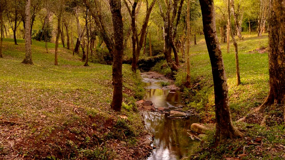 DSC3821 (9762365412) — Misiones, Argentina