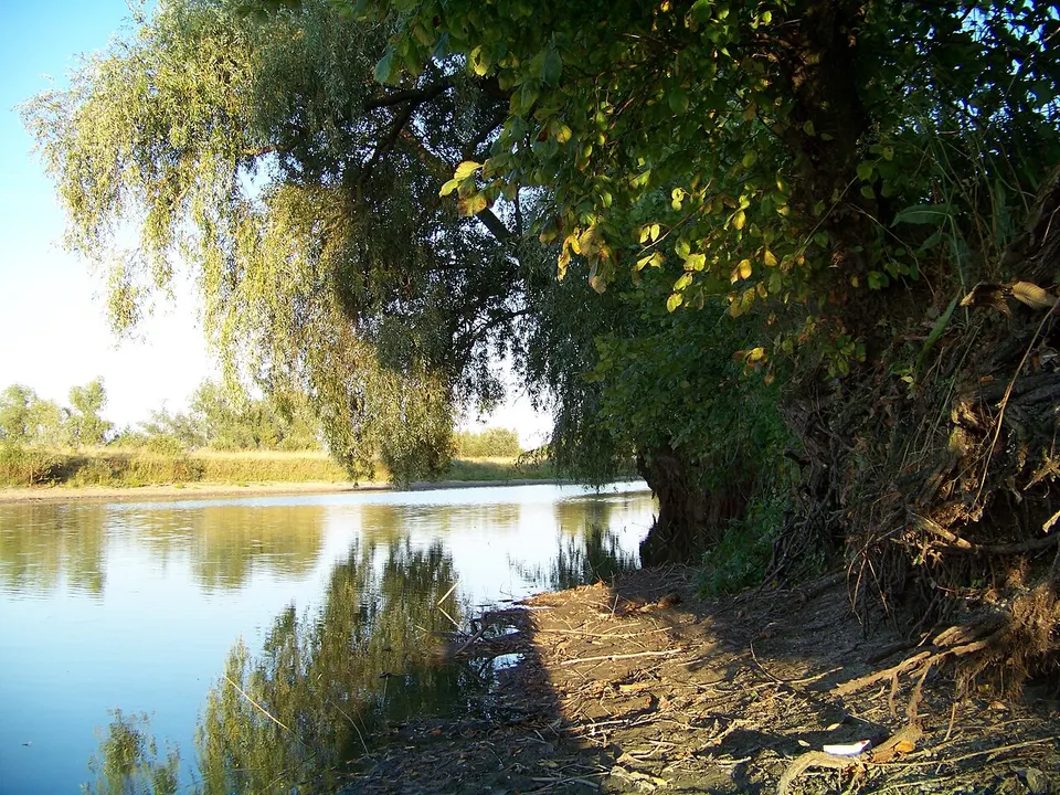 Кладьковка, озеро Ровец - panoramio — Chernihiv Oblast, Ukraine