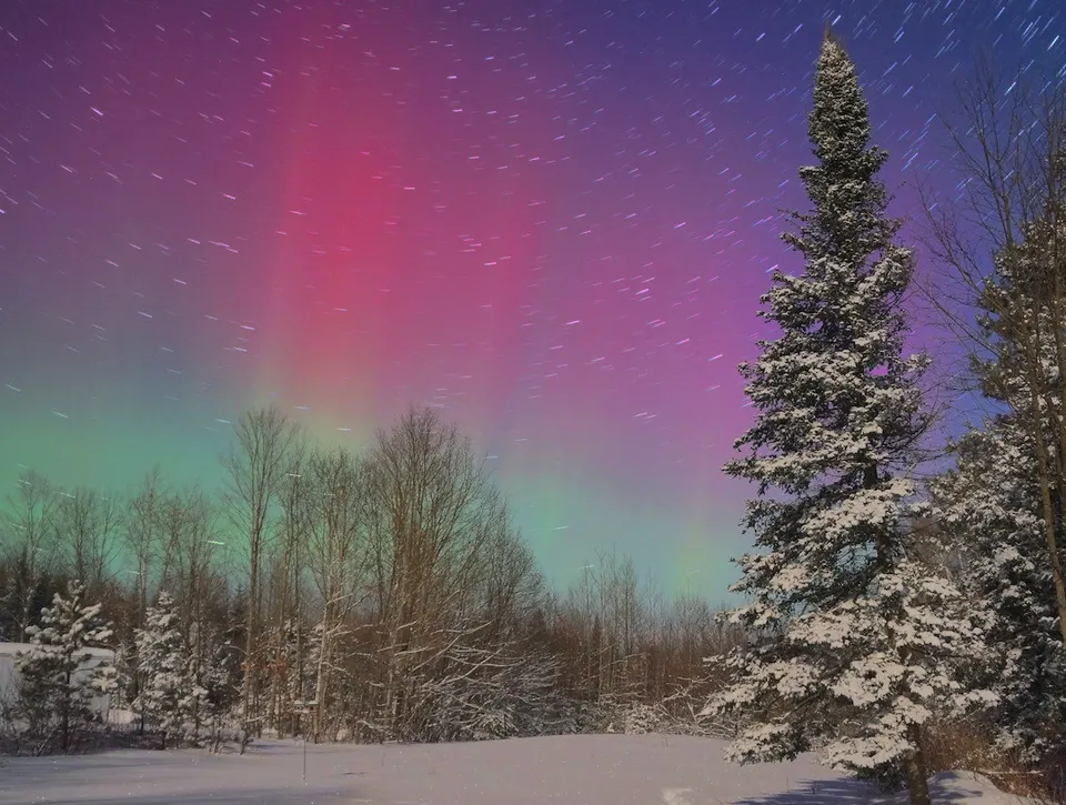 Aurora Trails Short (12646303844) — Maine, United States