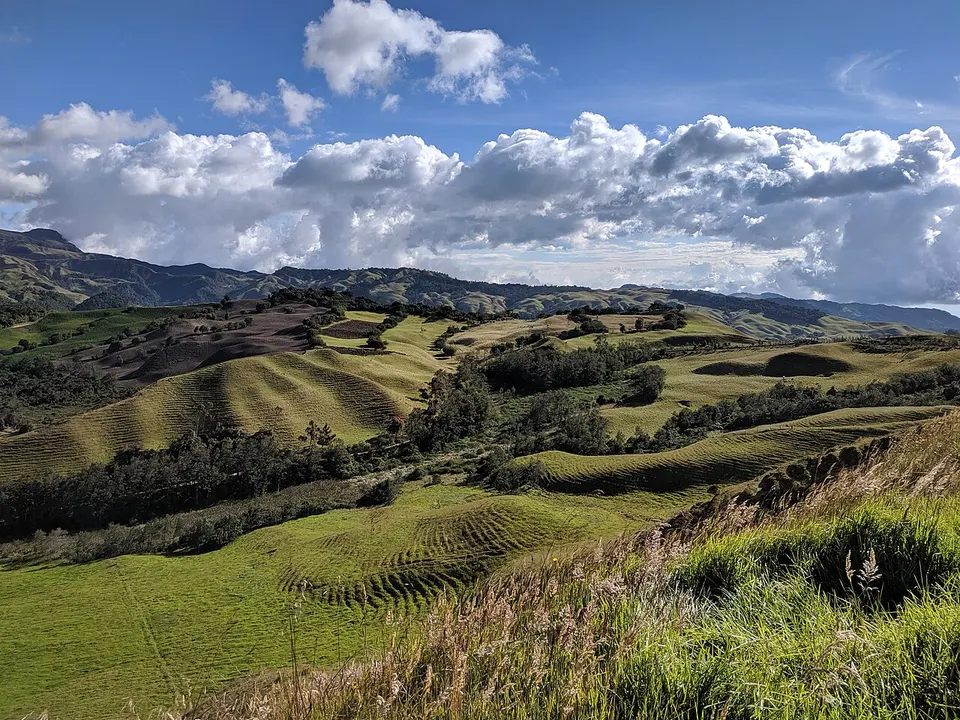 Vereda Páramo ( Marulanda - Caldas) 2 — Caldas, Colombia