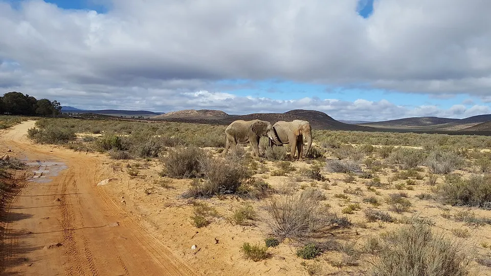 500px photo (227838797) — Western Cape, South Africa