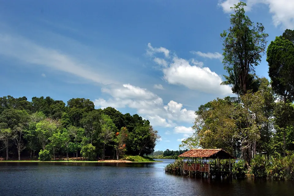 Tasek Merimbun Heritage Park.Brunei. (9565514695) — Tutong, Brunei