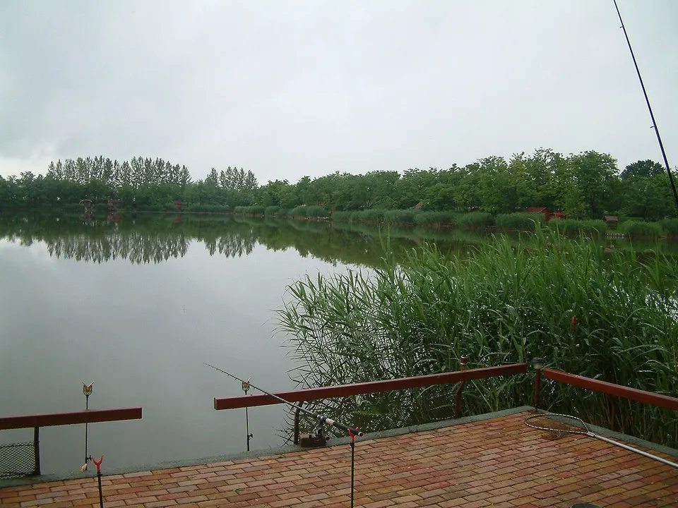 Borosgyáni halastó - panoramio — Békés, Hungary