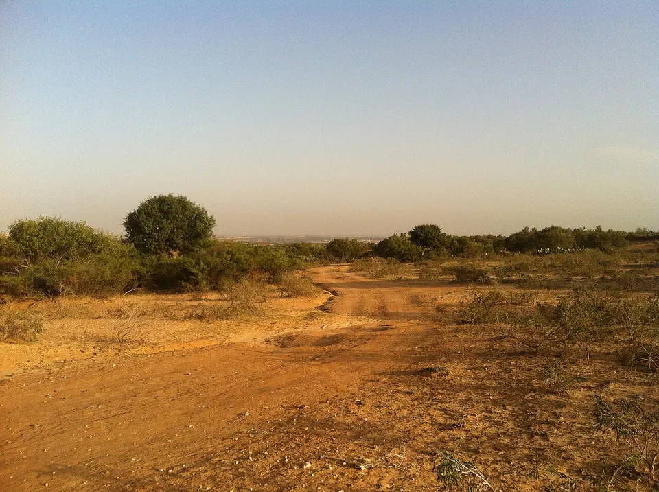 Country track through dry vegetation — Sousse, Tunisia