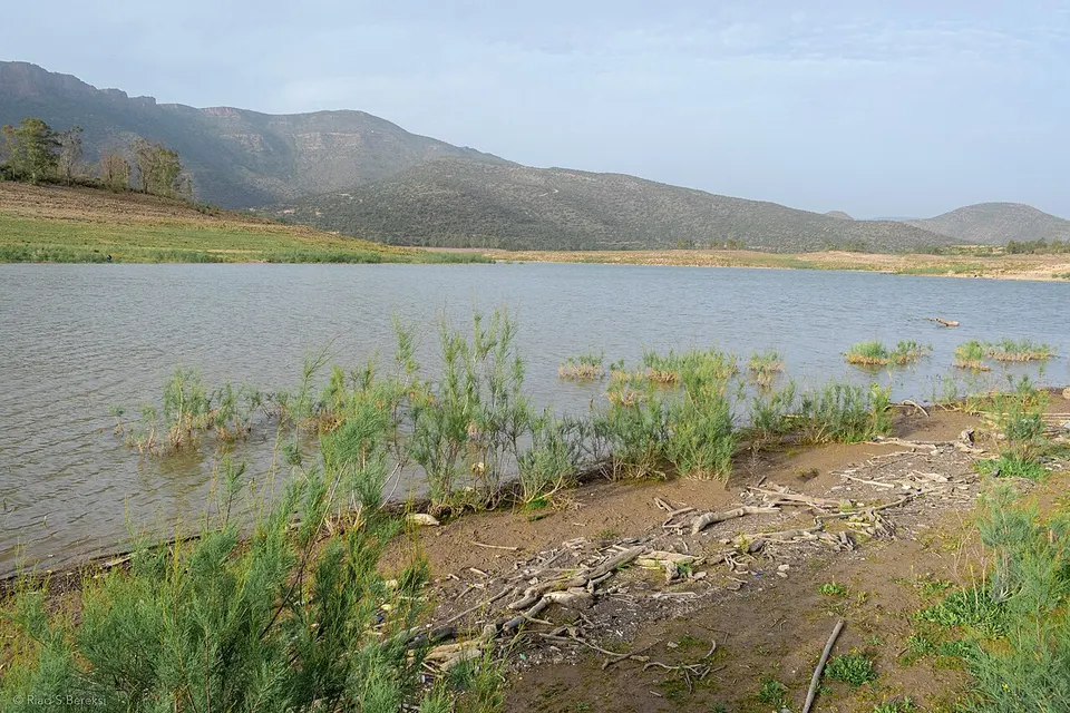 Barrage des Beni Bahdel - 2025 - 02 — Tlemcen, Algeria