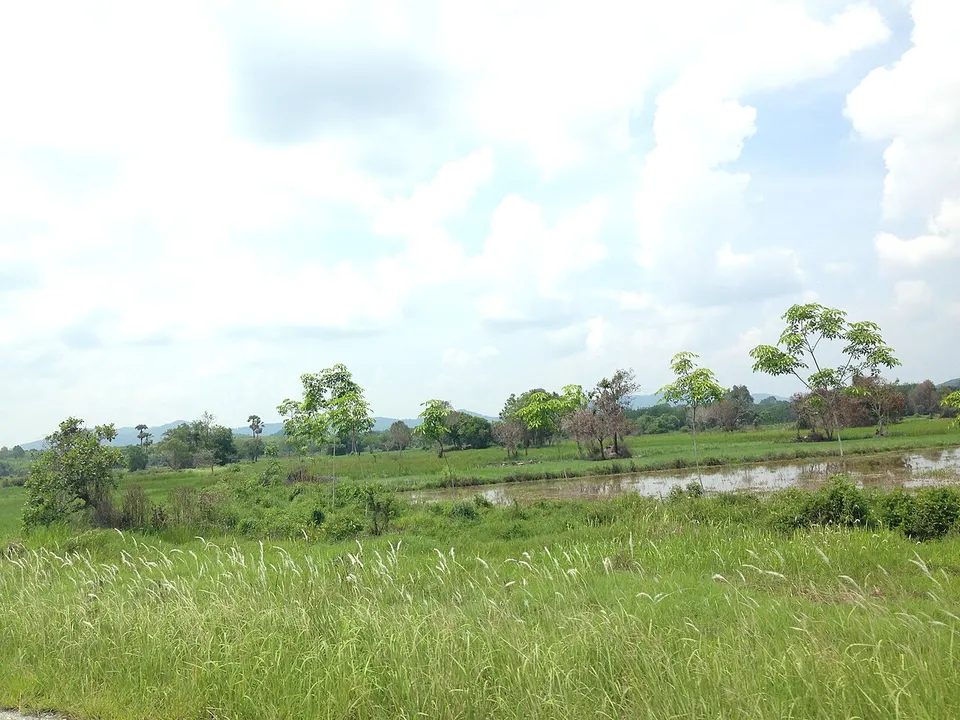 Trang, Mayo District, Pattani 94140, Thailand - panoramio — Pattani Province, Thailand