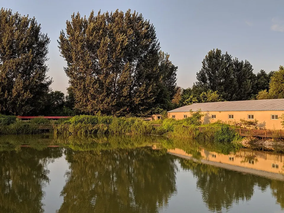 Shenbei New District Puhe town 5 - a farm nearby — Liaoning Province, China