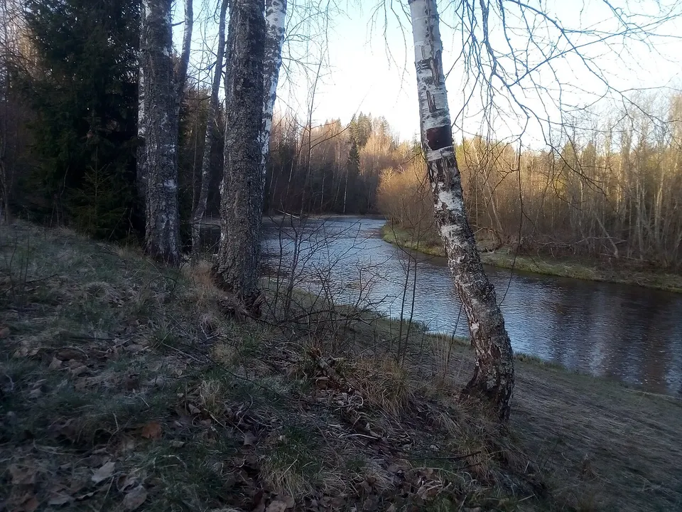 Povedsite — Tver Oblast, Russia