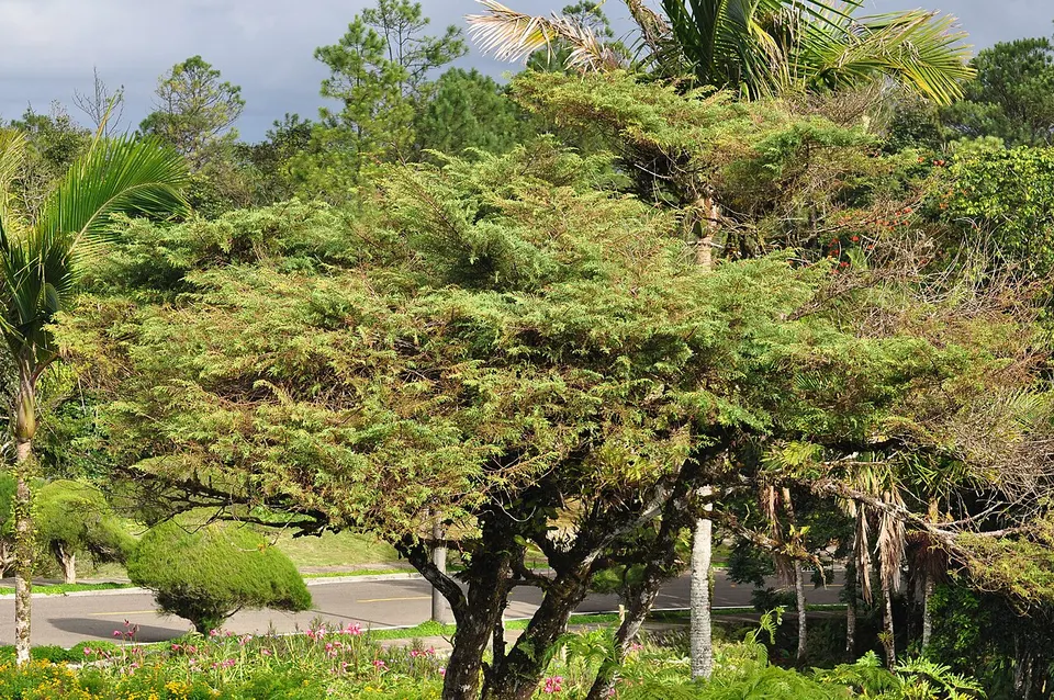 Доминиканская Республика - panoramio (83) — Puerto Plata, Dominican Republic