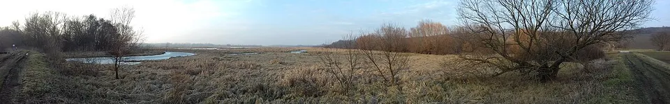 NatureReserverZitavskyLuhyEarlySpringPanorama — Region of Nitra, Slovakia