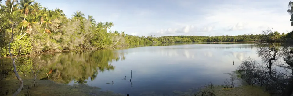 Lib island pond — Lib, Marshall Islands