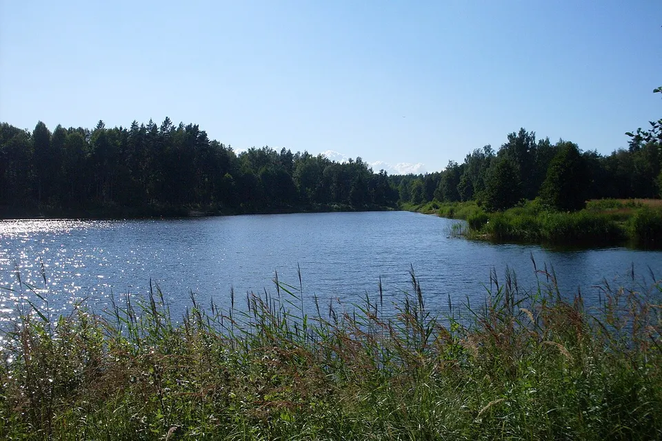 Mežezers, Olaines pagasts — Olaines novads, Latvia