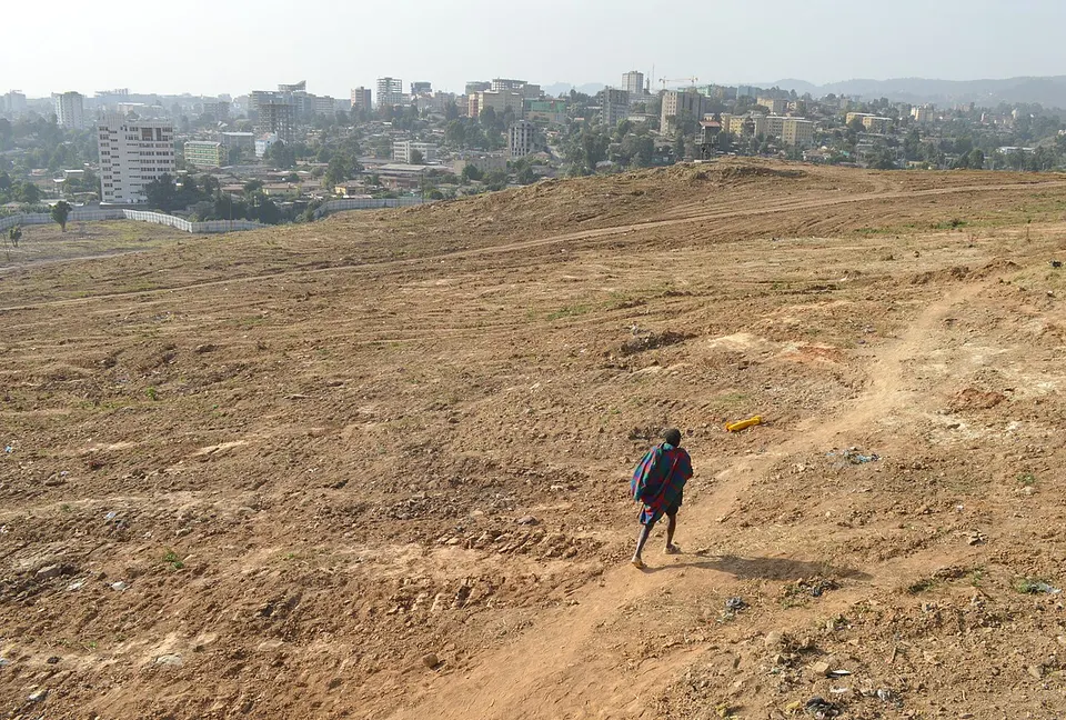 Wanderer (210920691) — Addis Ababa, Ethiopia