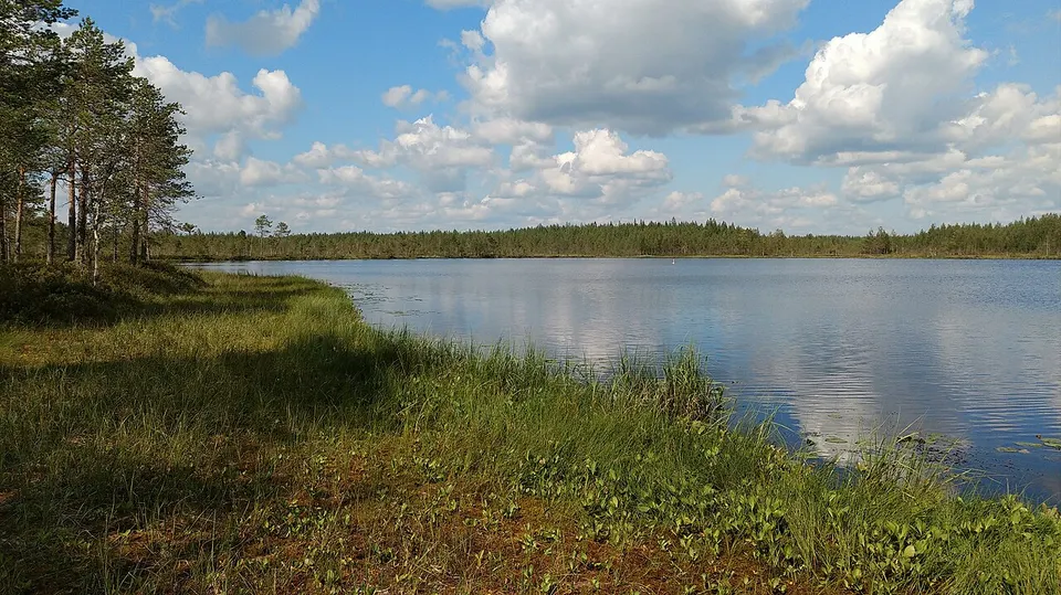 Lake surrounded by woodland — Northern Ostrobothnia, Finland