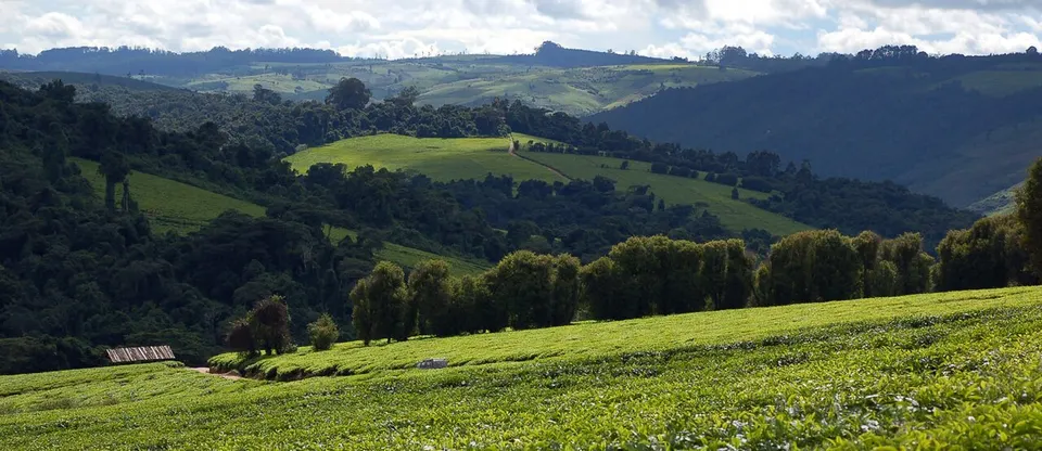 Landscape at Mufindi, Tanzania — Iringa, Tanzania