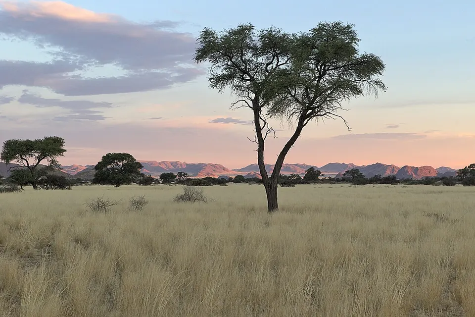Sunset over Namibian savanna — Hardap, Namibia