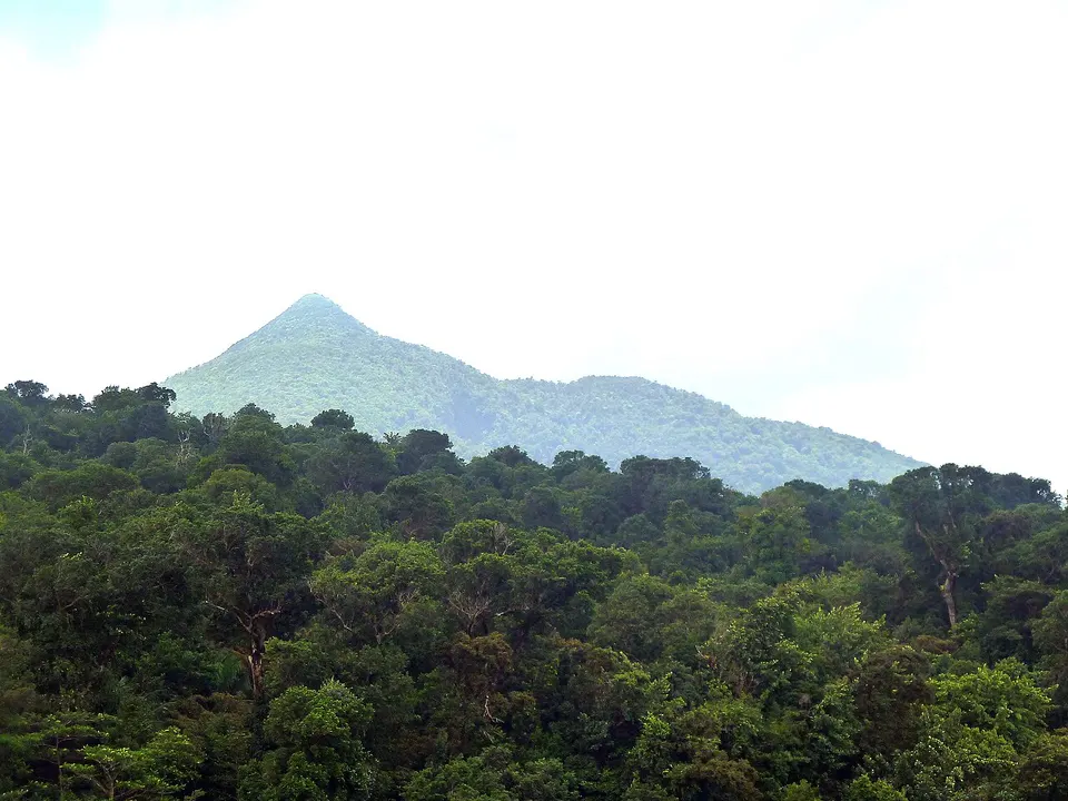 Dominica, Karibik - Trois Pitons National Park - View of the Watt Mountain - panoramio — Saint George, Dominica