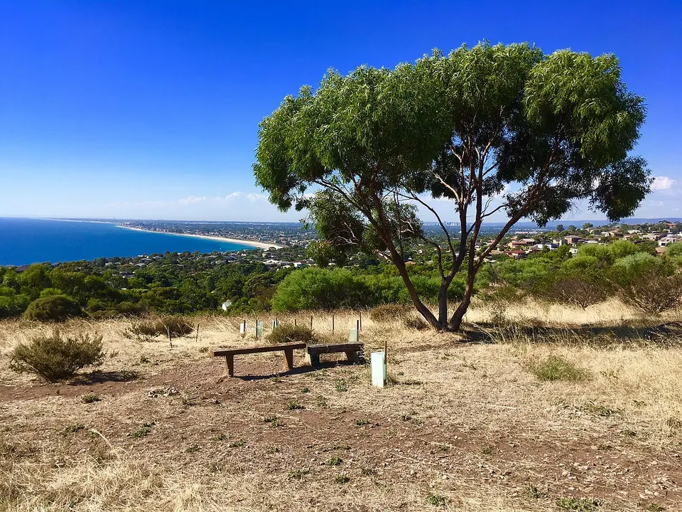 Marino Conservation Park part of the wider Glenthorne National Park - Ityamaiitpinna Yarta — South Australia, Australia