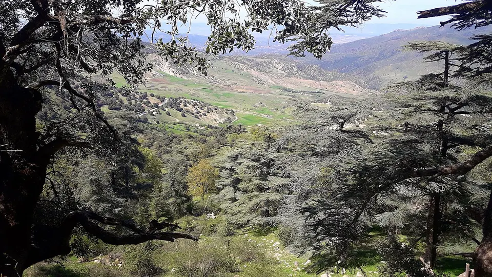 Discovery of landscapes at Theneit El had — Tissemsilt, Algeria