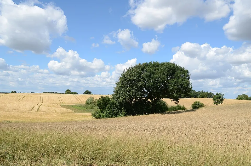 Marker ved Bjørnholtvej — Midtjylland, Denmark