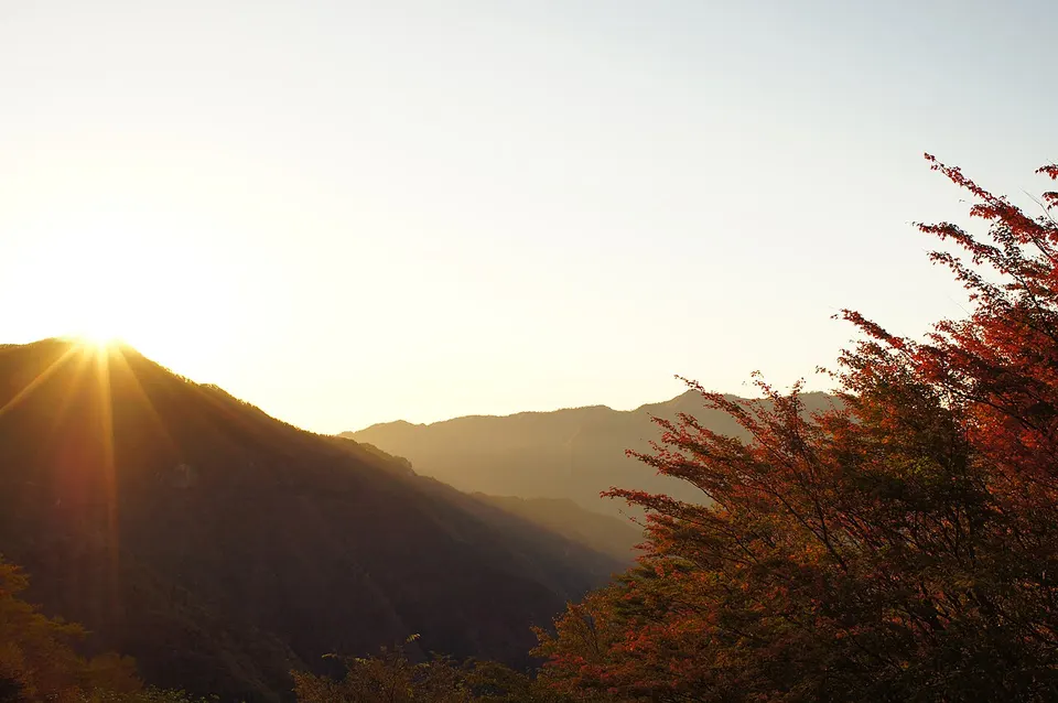剣山スーパー林道 - Mt.Tsurugi super forest road - panoramio — Tokushima Prefecture, Japan