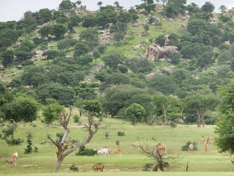 Harry Mountain around Dougu Village in the Western Sudan, South Darfur State — South Darfur, Sudan